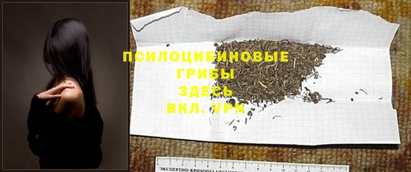 каннабис Абаза