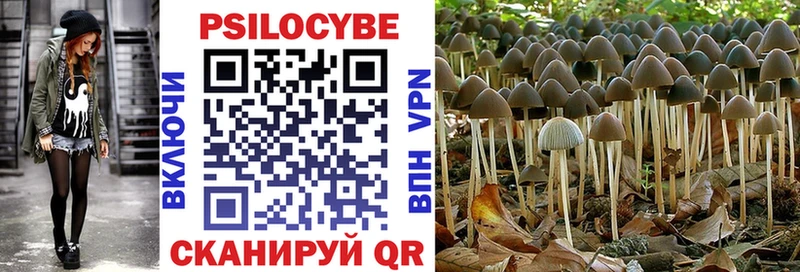 Галлюциногенные грибы Magic Shrooms  магазин    Шебекино 