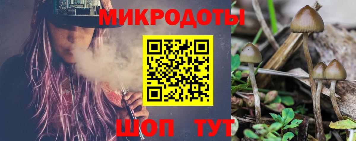 Галлюциногенные грибы Psilocybe  Псилоцибиновые грибы мицелий  Вход с VPN  Шебекино 