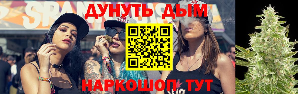 Конопля гибрид Шебекино